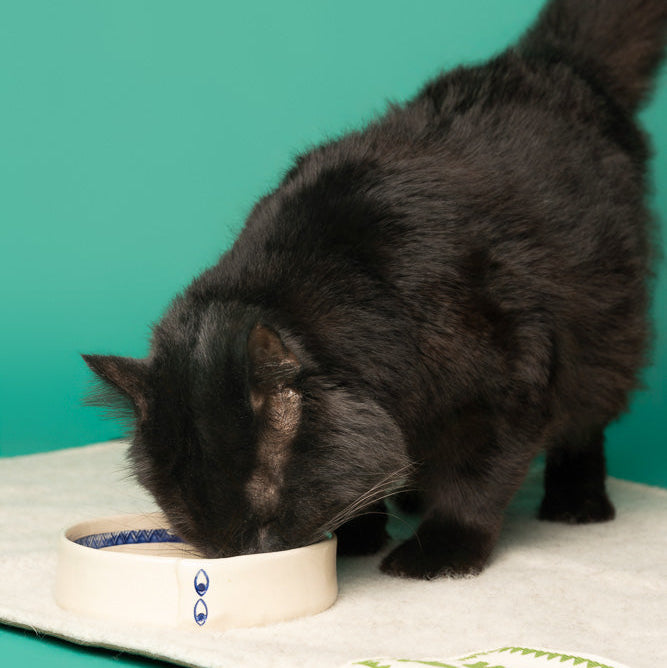 Ceramic Cat Bowl