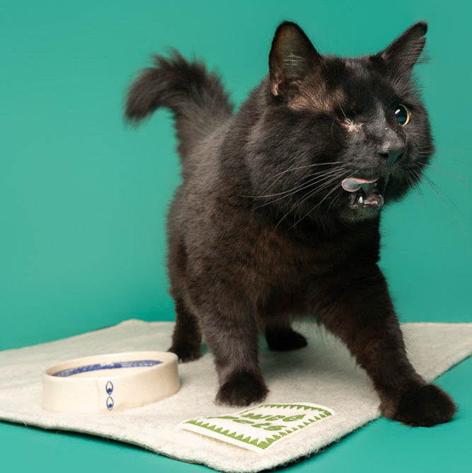 Ceramic Cat Bowl