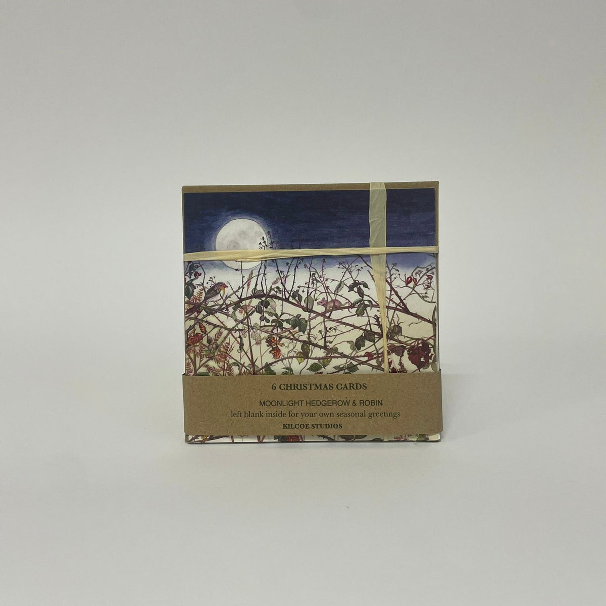 Moonlight Christmas Card Pack