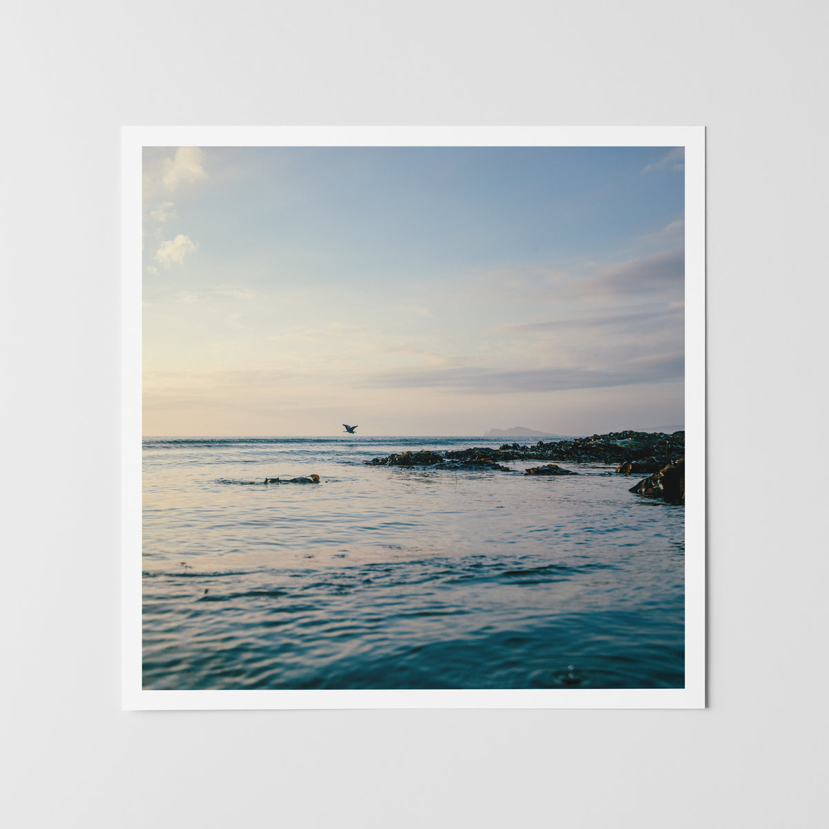 Prints