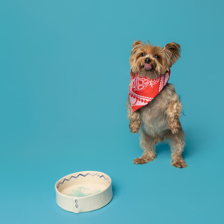 Ceramic Dog Bowl
