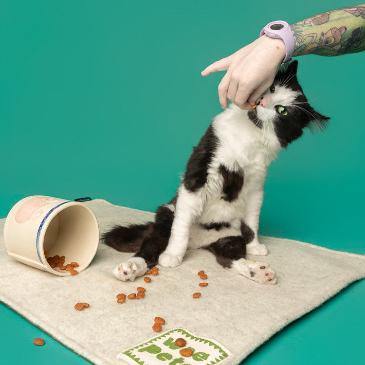 Cat Treat Jar