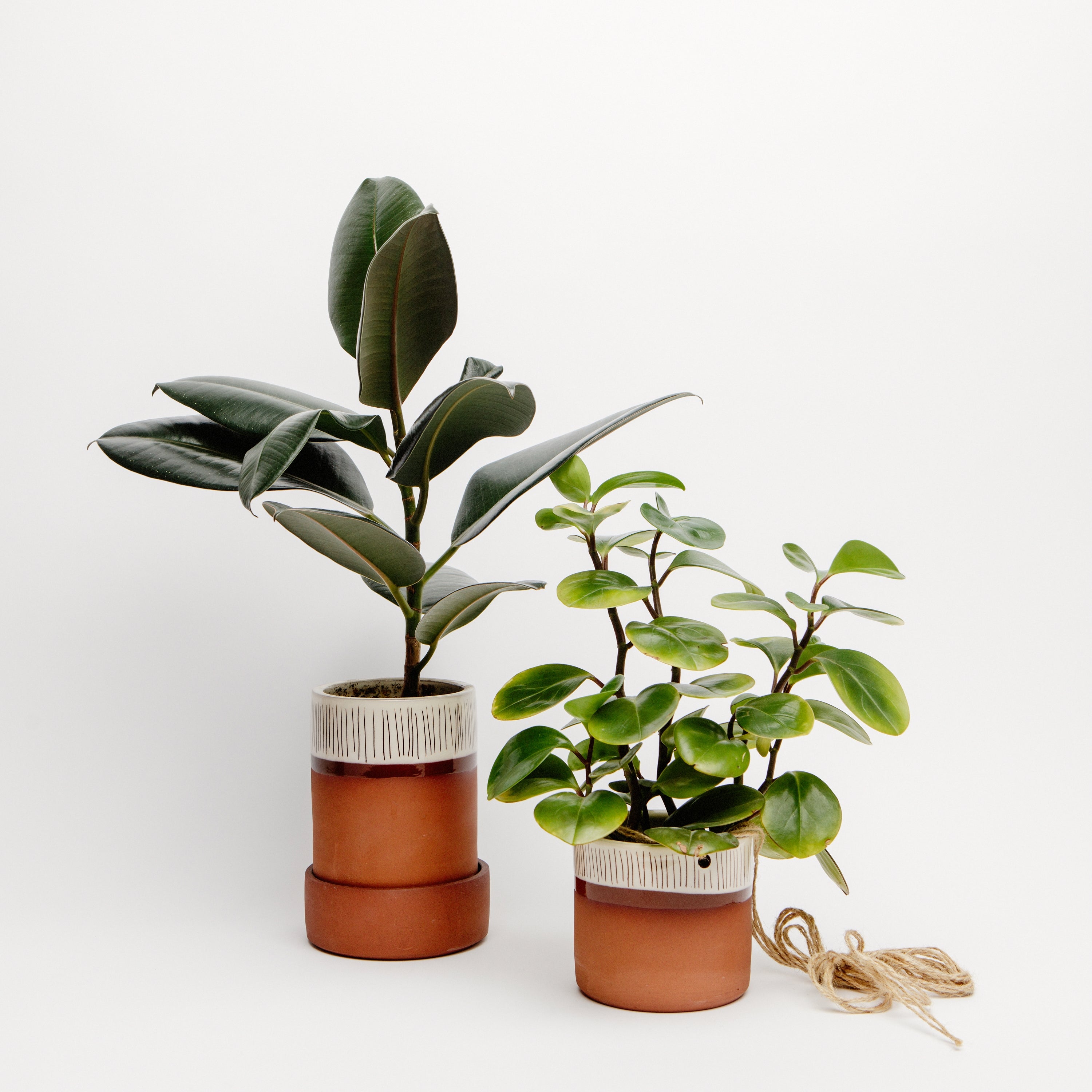 Tall Plant Pot