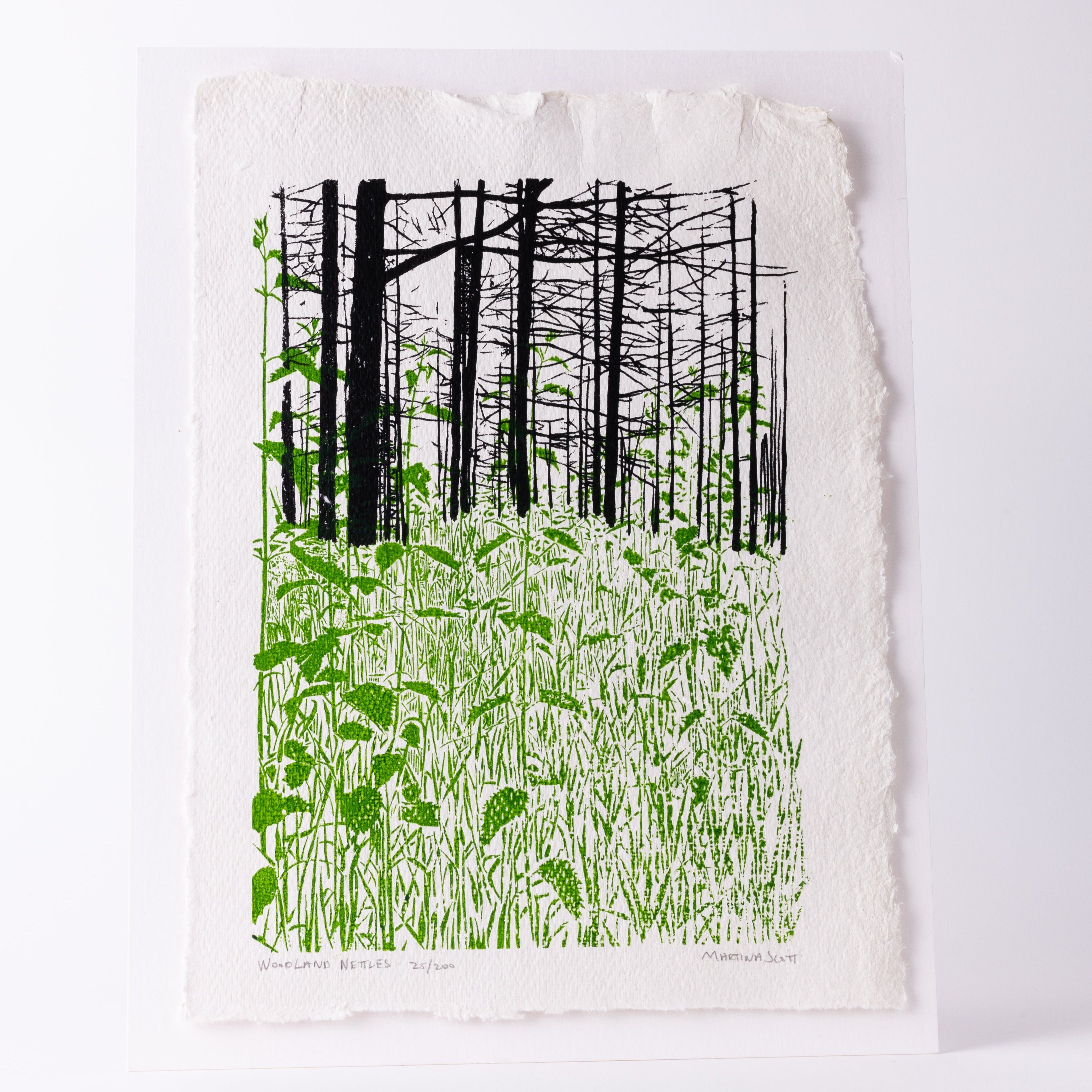 Woodland Nettles